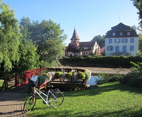 A vélo le long de la route des vins d’Alsace