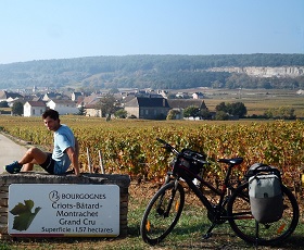 Bike getaway through the vineyards of Burgundy