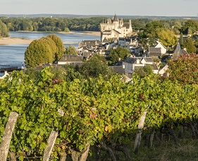 *Séjour d’exception* Au cœur des vignobles de la Loire à vélo