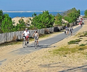 Cycling holidays from Bordeaux vineyards to the Atlantic